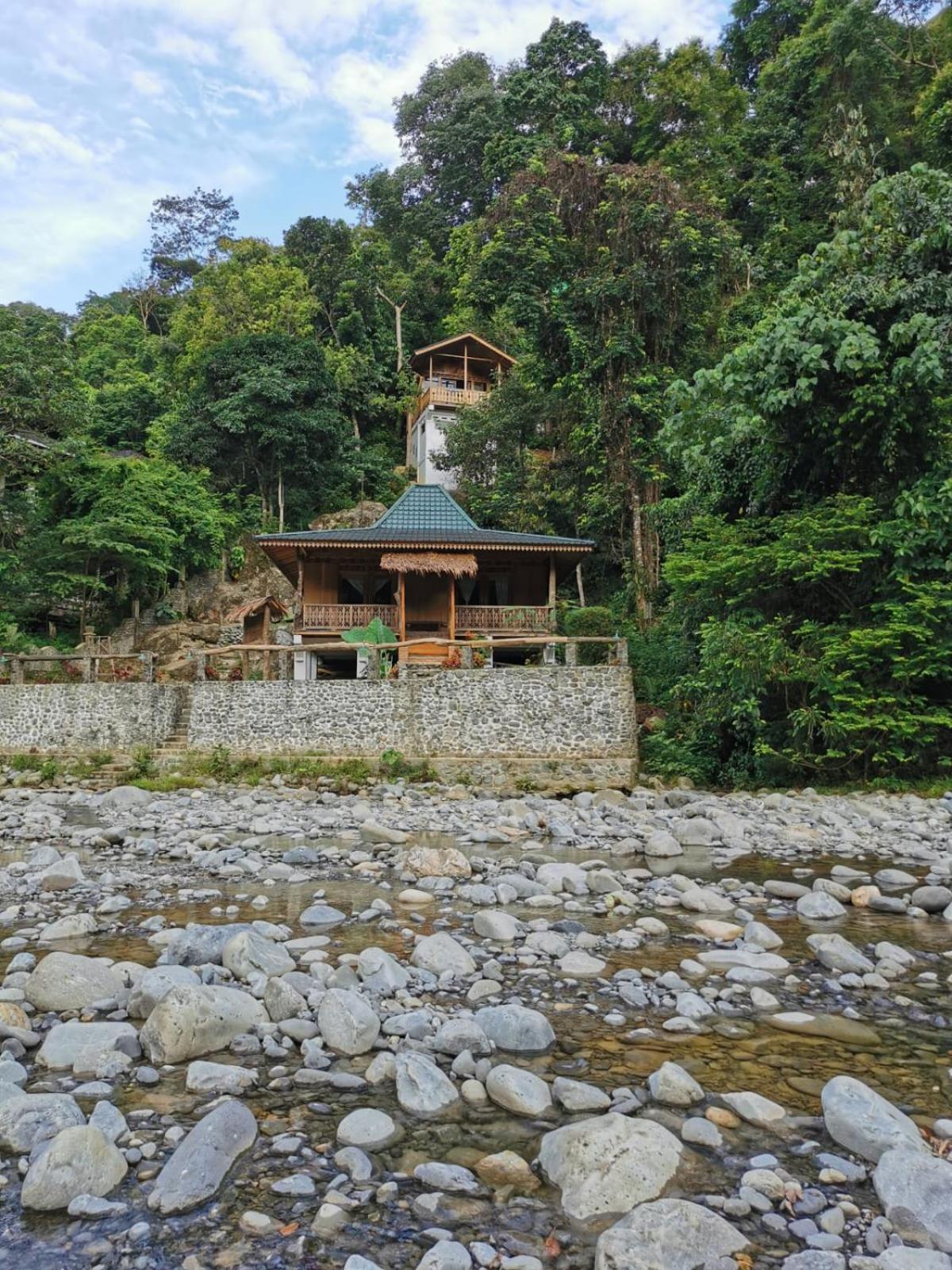 Rambai Tree Jungle Lodges Bukit Lawang Extérieur photo