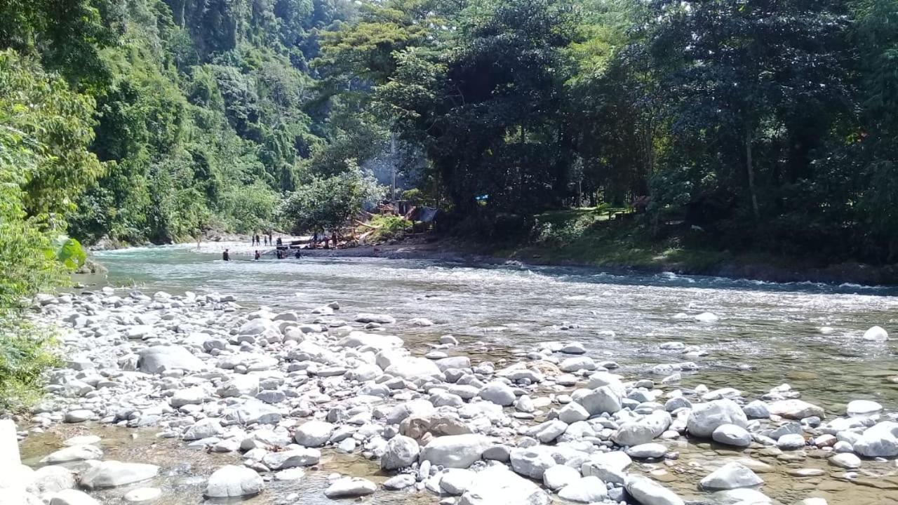 Rambai Tree Jungle Lodges Bukit Lawang Extérieur photo